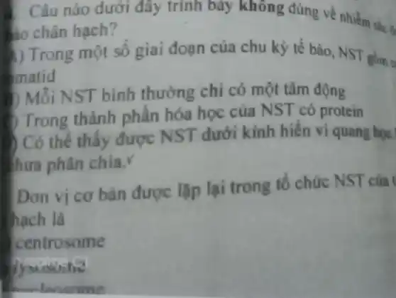 . Câu nào dưới đây trình bày không đúng về nhiễm sắc th
do chân hạch?
 ) Trong một số giai đoạn của chu kỳ tế bào, NST gồm c
matid
) Mỗi NST bình thường chỉ có một tâm động
( ) Trong thành phần hóa học của NST có protein
D Có thể thấy được NST dưới kính hiện vi quang học
hưa phân chia.
Đơn vị cơ bản được lặp lại trong tổ chức NST của t
hạch là
centrosome
Jysudoitic