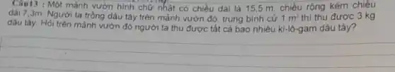 Câu13 : Một mảnh vườn hình chữ nhật có chiều dài là 155 m, chiều rộng kém chiêu
dài 7,3m. Người ta trồng dâu tây trên mảnh vườn đó trung bình cử 1m^2 thì thu được 3 kg
dâu tây. Hỏi trên mảnh vườn đó người ta thu được tất cả bao nhiêu ki lô-gam dâu tây?
__