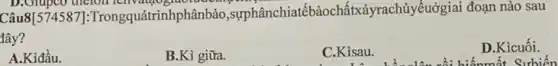 Câu8[574587]: Trong quátrìnhphânbào ,sựphânchiatébàoch ấtxảyrachủyếuởgiai đoạn nào sau
đây?
D.Kicuối.
biếnmốt Sưbiến
A.Kiđầu.
B.Kì giữa.
C.Kisau.