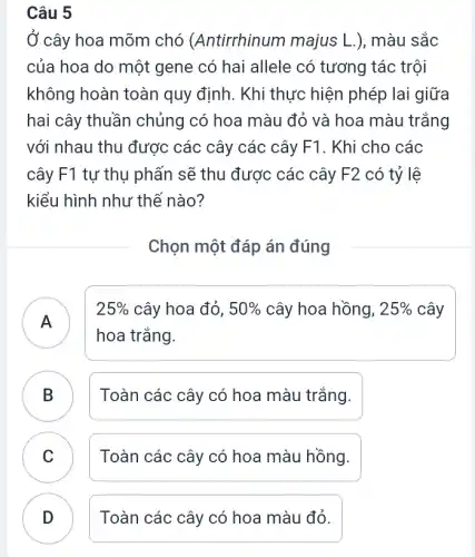 Ở cây hoa mõm chó (Antirrhinum majus L.), màu sắc
của hoa do một gene có hai allele có tương tác trội
không hoàn toàn quy định. Khi thực hiện phép lai giữa
hai cây thuần chủng có hoa màu đỏ và hoa màu trǎng
với nhau thu được các cây các cây F1. Khi cho các
cây F1 tự thụ phấn sẽ thu được các cây F2 có tỷ lê
kiểu hình như thế nào?
Chọn một đáp án đúng
A )
25%  cây hoa đỏ, 50%  cây hoa hồng, 25%  cây
hoa trắng.
B Toàn các cây có hoa màu trắng.
C Toàn các cây có hoa màu hồng. v
Toàn các cây có hoa màu đỏ.