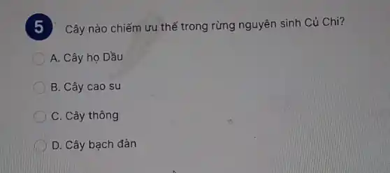 Cây nào chiếm ưu thế trong rừng nguyên sinh Củ Chi?
A. Cây họ Dầu
B. Cây cao su
C. Cây thông
D. Cây bạch đàn