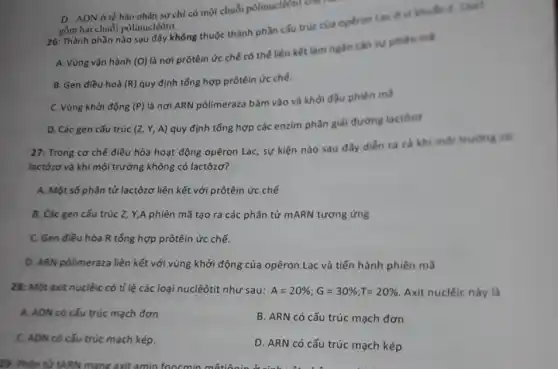 D. ADN ở tế bào nhân sơ chỉ có một chuỗi pôlinuclêôtit con
gồm hai chuỗi pôlinuclêôtit
26: Thành phần nào sau đây không thuộc thành phần cấu trúc của operon Lac d vi khudn E. Can?
A. Vùng vận hành (O)
là nơi prôtêin ức chế có thể liên kết làm ngắn cần sự phiên mà
B. Gen điều hoà (R) quy định tổng hợp prôtêin ức chế.
C. Vùng khởi động (P)
là nơi ARN pôlimeraza bám vào và khởi đầu phiên m3
D. Các gen cấu trúc (Z,Y,A)
quy định tổng hợp các enzim phân giải đường lactôio
27: Trong cơ chế điều hòa hoạt động opêron Lac, sự kiện nào sau đây diễn ra cà khi mol trurong co
lactôzơ và khi môi trường không có lactôzơ?
A. Một số phân tử lactôzơ liên kết với prôtêin ức chế
B. Các gen cấu trúc Z, Y,A phiên mã tạo ra các phân tử mARN tương ứng
C. Gen điều hòa R tổng hợp prôtêin ức chế.
D. ARN pôlimeraza liên kết với vùng khởi động của opêron Lac và tiến hành phiên mã
28: Một axit nuclêic có tỉ lệ các loại nuclêôtit như sau: A=20% ;G=30% ;T=20%  Axit nuclêic này là
A. ADN có cấu trúc mạch đơn
B. ARN có cấu trúc mạch đơn
C. ADN có cấu trúc mạch kép.
D. ARN có cấu trúc mạch kép