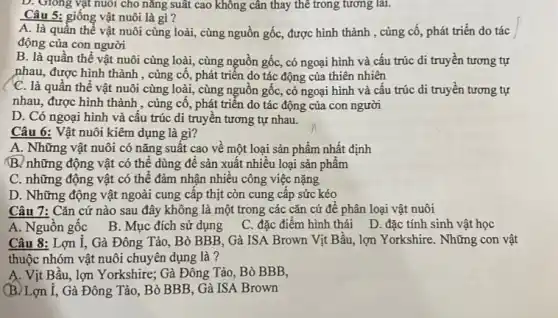 D. Giong vật nuôi cho nǎng suất cao không cân thay thế trong tương lai.
Câu 5: giống vật nuôi là gì?
A. là quần thể vật nuôi cùng loài,, cùng nguồn gốc, được hình thành , cùng cô , phát triển do tác
động của con người
B. là quần thể vật nuôi cùng loài , cùng nguồn gốc, có ngoại hình và cấu trúc di truyền tương tự
nhau, được hình thành , cùng cô, phát triển do tác động của thiên nhiên
C. là quần thể vật nuôi cùng loài,cùng nguồn gốc, có ngoại hình và cấu trúc di truyền tương tự
nhau, được hình thành , cùng cô, phát triển do tác động của con người
D. Có ngoại hình và câu trúc di truyên tương tự nhau.
Câu 6: Vật nuôi kiêm dụng là gì?
A. Những vật nuôi có nǎng suât cao vê một loại sản phẩm nhất định
B. những động vật có thể dùng để sản xuất nhiều loại sản phâm
C. những động vật có thể đảm nhận nhiều công việc nặng
D. Những động vật ngoài cung cấp thịt còn cung cấp sức kéo
Câu 7: Cǎn cứ nào sau đây không là một trong các cǎn cứ để phân loại vật nuôi
A. Nguồn gốc B . Mục đích sử dụng
C. đặc điểm hình thái D. D.đặc tính sinh vật học
Câu 8: Lợn I,. Gà Đông Tảo, Bò BBB, Gà ISA Brown Vịt Bầu, lợn Yorkshire . Những con vật
thuộc nhóm vật nuôi chuyên dụng là?
A. Vịt Bâu, lợn Yorkshire; Gà Đông Tảo , Bò BBB,
(B) Lợn l , Gà Đông Tảo, Bò BBB, Gà ISA Brown