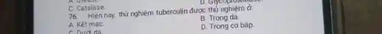 D. Glycoplotem
C. Catalase
76. Hiện nay, thử nghiệm tuberculin được thứ nghiệm ở
B. Trong da.
A. Kết mạC.
C. Dưới da
D. Trong cơ bắp