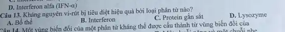 D. Interferon alfa (IFN-alpha )
Câu 13. Kháng nguyên vị-rút bị tiêu diệt hiệu quả bởi loại phân tử nào?
D. Lysozyme
B. Interferon
C. Protein gắn sắt
A. Bố thể
Câu 14. Một vùng biến đổi của một phân tử kháng thể được cấu thành từ vùng biến đổi của
t chuỗi nhẹ