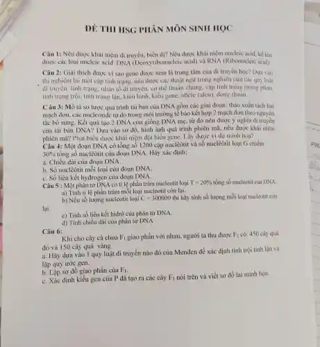 DÊ THI HSG PHÂN MÔN SINH HỌC
Câu 1: Nêu được khái niệm di truyền biến dị? Nêu được khái niệm nucleic acid , kể tên
được các loại nucleic acid: DNA (Deoxyribonuclei c acid) và RNA (Ribonucleic acid).
Câu 2: Giải thích được vì sao gene được xem là trung tâm của di truyền học? Dựa vào
thí nghiệm lai một cặp tính trạng, nêu được các thuật ngữ trong nghiên cứu các quy luật
di truyền: tính trạng nhân tố di truyền , cơ thể thuần chủng cặp tính trạng tương phàn,
tinh trạng trội, tính trạng lặn, kiểu hình.kiểu gene, allele (alen)dòng thuần.
Câu 3: Mô tả sơ lược quá trình tái bản của DNA gồm các giai đoạn: tháo xoắn tách hai
mạch đơn, các nucleotide tự do trong môi trường tế bào kết hợp 2 mạch đơn theo nguyên
tắc bổ sung. Kết quả tạo 2 DNA con giống DNA mẹ , từ đó nêu được ý nghĩa di truyền
của tái bản DNA?Dựa vào sơ đô , hình ảnh quá trình phiên mã, nêu được khái niệm
phiên mã? Phát biểu được khái niệm đột biến gene. Lấy được ví dụ minh hoạ?
Câu 4: Một đoạn DNA có tổng sô 1200 cặp nuclêôtit và số nuclêôtit loại G chiếm
30%  tổng số nuclêôtit của đoạn DNA. Hãy xác định:
a. Chiều dài của đoạn DNA.
b. Số nuclêôtit mỗi loại của đoạn DNA.
C. Số liên kết hyđrogen của đoạn DNA.
Câu 5 : Một phân tử DNA có tỉ lệ phần trǎm nucleotit loại T=20%  tổng số nucleotit của DNA.
a) Tính tỉ lệ phần trǎm mỗi loại nucleotit còn lại.
b) Nếu số lượng nucleotit loại C=300000 thì hãy tính số lượng mỗi loại nucleotit còn
lại.
c) Tính số liên kết hiđrô của phân tử DNA.
d) Tính chiều dài của phân tử DNA
Câu 6:
Khi cho cây cà chua F_(1) giao phấn với nhau người ta thu được F_(2) có: 450 cây quả
đỏ và 150 cây quả vàng
a. Hãy dựa vào 1 quy luật di truyền nào đó của Menđen để xác định tính trội tính lặn và
lặp quy ước gen.
b. Lập sơ đồ giao phấn của F_(1)
C. Xác định kiểu gen của P đã tạo ra các cây F_(1) nói trên và viết sơ đồ lai minh hoa.