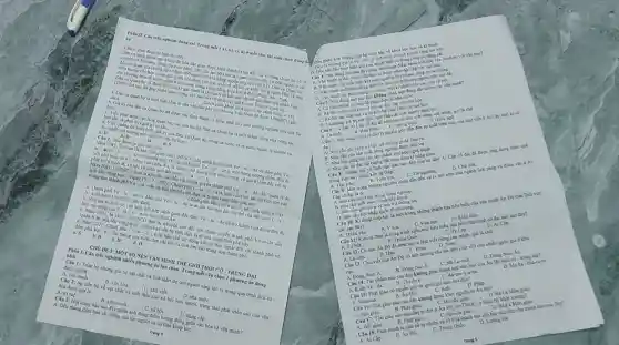 danher ca quan ho góp phần quác trọng vào bao và phát hóa phi Bác và như c . Vǎn minh
Nai
câu
được UN
(Sách giáo thứ vùng hìch lớn vào
kết hợp hau) quan độc đáo. Vơ-ni
4. S
ni- do thông a. Việc cầm Các tàu du lịch lớn vào trung tam thành phố.
nhỏ hơn như báo
đưuyến cáo đổi với chính quyển thành phố Vơ-ni-d cần
vǎn hóa phi vài thể của đất nước
đã hạn chế lich động xấu nưung
nhất
trắc nghiệm nhiều phương án the chọn. Trong mỗi câu chọn 1 phương an đúng
VĂN MINH THE GIỚI THời
A. tri tue
hóa được
vǎn hóa.
sau án minh.
xã hội loài người, trạng thái phát triển cao của vǎn
bản sác riêng của tộc người và có
cấp.
C. x8 hội.
hóa và vǎn minh?
ánh những tiến bộ vượt bậc về khoa học học và kĩ thuật.
giá trị vật chất và tinh thần do con người	tạo nên
dung nào sau đây phản ảnh	điểm khác biệt của vǎn minh so với
vǎn hóa và	bóa
chỉ xuất hiện khi con người biết chế tạo cong cy lao động.
xuất hiện đồng thời với sự xuất hiện con người trên trái đất
chỉ được sáng tạo trong thời kì phát triển cao của xã hội
đung nào sau đây không phản ánh đúng đặc điểm của vǎn minh?
tiêu chuẩn cơ bản để nhận diện là nhà nước
trước vǎn hóa và tồn tại độc lập với vǎn hóa.
vǎn hóa và có liên bê chặt chẽ với vǎn
Là những giá trị vật chất, tinh thần do con người sáng tạo
dẫn Cập có đại đã sớm tạo ra chữ viết rieng minh,
A. La-tinh
Câu 8: Thành tựu về linh vực nào sau đây của cu dân Ai Cập cổ đại đã được ứng dụng hiệu quả
tháp?
D. Chữ viết.
C. nhu cầu ghi chép và lưu trữ thông tin.
Câu 10: Kĩ thuật ướp xác là một trong những thành tựu tiêu biểu của vǎn minh Án Độ trên linh vực
Câu 11: Kim tự tháp là công trình kiến trúc tiêu biểu của nền vǎn minh cố đại nào sau đây?
A. La-tinh	B. Hán.	D. Nôm
Câu 13: Chữ viết của Án Độ có ảnh hưởng sâu sắc đến chữ viết của nhiêu quốc gia ở khu
A. Đông Nam A. B. Đông Bắc Á.
A. Mianma	B hat (A)nDunderset (.)(hat (o)).	C. Anh.	D. Pháp.
Câu 16: Tôn giáo nào sau đây không được khởi nguồn tử Ân Độ?
A. Hồi giáo. B. Phật giáo
D.Bà La Môn giáo
Câu 17: Tôn giáo nào sau đây ra đời ở Án Độ,do Thich Ca Màu Ni khởi xương?