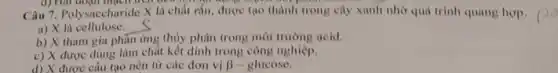 that doạn mạch hơn ở
Câu 7. Polysaccharide X là chất rắn, được tạo thành trong cây xanh nhờ quả trình quang hợp.
a) X là cellulose. __
b) X tham gia phùn ứng thủy phân trong môi trường acid.
c) X được dùng làm chất kết dinh trong công nghiệp.
d) X được cấu tạo nên từ các đơn vị beta -glucose