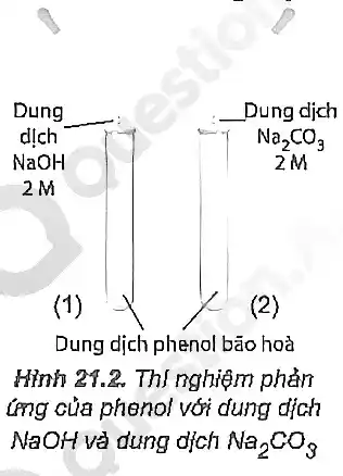 __
__ Dung dịch
Dung dịch phenol bão hoà
Hình 21.2. Thí nghiệm phản
ứng của phenol với dung dịch
NaOH và dung dịch Na_(2)CO_(3)