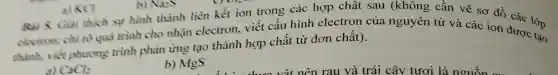 electron; chỉ rõ quá trình cho nhận electron . viết cấu hình electron của nguyên tử và các ion được áp
thành, viết phương trình phản ứng tạo thành hợp chất từ đơn chất).
a) CaCb
b) MgS
a) KCI
b) NaeS
Bai 5. Giai thích sự hình thành liền kết ion trong các hợp chất sau (không cần vẽ sơ đồ các lớn