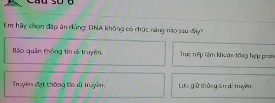 Em hãy chọn đáp án đúng: DNA không có chức nǎng nào sau đây?
Bảo quản thông tin di truyền.
Trực tiếp làm khuôn tổng hợp prote
Truyền đạt thông tin di truyền.
Lưu giữ thông tin di truyền.