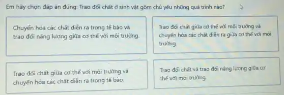 Em hãy chọn đáp án đúng: Trao đổi chất ở sinh vật gồm chủ yếu những quá trình nào?
Chuyển hóa các chất diễn ra trong tế bào và
trao đổi nǎng lượng giữa cơ thể với môi trường.
Trao đổi chất giữa cơ thể với môi trường và
chuyển hóa các chất diễn ra giữa cơ thể với môi
trường.
Trao đổi chất giữa cơ thể với môi trường và
chuyển hóa các chất diễn ra trong tế bào.
Trao đổi chất và trao đổi nǎng lượng giữa cơ
thể với môi trường.