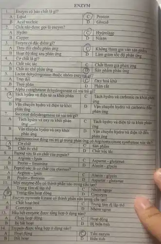 ENZYM
Enzym có bản chất là gì?
Lipid
Protein
Glucid
Hydrolase
Niken
c
Không tham gia vào sản phẩm
D Làm giảm tốc độ phản ứng
A Chất xúc tác
B Chất ức chế phản ứng
C Chất tham gia phản ứng
1 Sản phẩm phản ứng
Oxy hoá khử
B Thuỷ phân
Phân cắt
Alpha cetoglutarat dehydrogenase có vai trò gì?
Tách hydro và điện từ ra khỏi phản
Tách hydro và carbonic ra khỏi phản
ứng
Vận chuyển hydro và carbonic đến
phản ứng
Succinat dehydrogenase có vai trò gì?
A
Tách hydro và điện tử ra khỏi phản
ứng
B
Vận chuyển hydro và oxy khỏi
phản ứng
Vận chuyển hydro và điện tử đến
phản ứng
Arginosuccinat đóng vai trò gì trong phản ứng có Arginosuccinate synthetase xúc tác?
Cơ chất
C Sản phẩm
Chất ức chế
D Chất xúc tác
Peptid nào là cơ chất của pepsin?
A
Arginin - lysin
C Aspartat - glutamat
B
Prolin-threonine
D Alanin - glycin
Peptid nào là cơ chất của elastase?
Arginin - lysin
Alanin - glycin
Prolin - threonin
Aspartat - glutamat
D
11. Mọi enzyme đều có thành phần nào trong cấu tạo?
Trung tâm dị lập thể
C Nhóm ngoại
Trung tâm hoạt động
D Coenzym
12.
Enzym pyruvate kinase có thành phần nào trong câu tạo?
A Chất hoạt hoá
B
Coenzym
C Trung tâm dị lập thể
D
Nhóm ngoại
Hầu hết enzyme được tổng hợp ở dạng nào?
C
Chưa hoạt động
Hoạt động
B
Bị bất hoạt
Bị biến tính
14.
Trypsin được tổng hợp ở dạng nào?
A
Hoạt động
(C) Tiền enzym
B
Bất hoạt
D Biến tính
