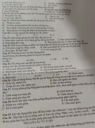 A. gieo hạt, trồng cây con.
C. Vun xới, làm có dai.
D. Lên luống.
Câu 17: Khi trồng cây con, để giúp cây đứng vững cần phải
A. bón phân cho cây ngay sau khi trồng.
B. bừa đất, san phẳng mặt ruộng.
C. đào hố thật sâu.
B. vungốc ngay sau khi trồng.
Câu 18. Một trong những công việc thường làm ngay sau khi trồng cây con là D. trồng cây với mật độ thật dày.
A. Bón phân cho cây.
C. Tưới nước đầy đủ.
B. Làm có dai.
Câu 19. Một trong những nguyên tắc phòng trừ sâu bệnh là D. Đào hố trồng cây.
A. Phòng là chính.
B. Uu tiên sử dụng thuốc bảo vệ thực vật hóa họC.
C. Phun thuốc với nồng độ cao hơn hướng dẫn sử dụng.
D. Phun thuốc với nồng độ thấp hơn hướng dẫn sử dụng.
Câu 20: Có mấy nguyên tắc phỏng trừ sâu, bệnh?
A. 1
B. 2
C. 3
Câu 21: Biện pháp phòng trừ sâu bệnh đầu tiên là gì?
D. 4
A. Biện pháo canh tác và sử dụng giống chống sâu bệnh
C. Biện pháp hóa học
B. Biện pháp thủ công
D. Biện pháp sinh học và kiểm dịch thực vật.
Câu 22. Một trong những ưu điểm của biện pháp thủ công trọng phòng trừ sâu hại cây trồng là
A. Tiết kiệm công lao động. mạnh.
B. Hiệu quả nhanh kể cả khi sâu đã phát triển
C. Đơn giản, dễ thực hiện.
D. Có tác dụng lâu dài.
Câu 23. Phương án nào sau đây không phải
là một trong các phương pháp thu hoạch sản phẩm
trồng trọt
A. Hái.
C. Cắt.
D. Bổ.
B. Nhổ.
Câu 24. Nội dung nào sau đây là một trong
những yêu cầu của thu hoạch sản phẩm trồng trọt.
A. Thu hoạch đúng thời điểm.
B. Thu hoạch càng muộn càng tốt.
C. Thu hoạch càng sớm càng tốt.
D. Thu hoạch khi có nhu câu sử dụng.
Câu 25: Cây trồng nào sau đây thu hoạch bằng phương pháp đào?
A. Khoai tây
B. Lúa
C. Lạc
D. Chôm chôm
Câu 26. Việc sử dụng thùng xốp đã qua sử dụng để trồng rau an toàn có ý nghĩa nào sau đây?
A. Giúp cây nhanh lớn.
.B. Hạn chế nguồn sâu bệnh.
C. Thuận lợi cho việc chǎm sóC.
D. Bảo vệ môi trường.
Câu 27. Trong nhân giống bằng phương pháp giâm cành, chọn cành giâm có đặc điểm nào sa
đây?
A. Cành càng non càng tốt.
B. Cành bánh tẻ.
C. Cành càng già càng tôt.
D. Cành càng to càng tốt.
Câu 28: Bước thứ nǎm của nhân giống bằng phương pháp giâm cành là:
A. Chǎm sóc cành giâm.
B. Cắt cành giâm.
C. Xử lí cành giâm.
D. Cắm cành giâm.
Câu 29. Em vận dụng kiến thức để thực hiện việc chǎm sóc 1 loại cây trồng trong gia đìr
Câu 50. Nhà bạn Lan có trồng một số loạicây trồng: Nhãn, xoài,xu hào , cà rốt.
để thực hiện việc chǎm sóc cây trồng trong gia đình em