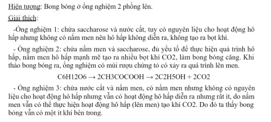 Hiện tượng: Bong bóng ở ống nghiệm 2 phổng lên.
Giải thích:
-Ông nghiệm 1: chứa saccharose và nước cất , tuy có nguyên liệu cho hoạt động hô
hấp nhưng không có nâm men nên hô hấp không diễn ra , không tạo ra bọt khí.
- Ông nghiệm 2: chứa nâm men và saccharose, đủ yếu tố để thực hiện quá trình hô
hấp, nấm men hô hấp mạnh mẽ tạo ra nhiêu bọt khí CO_(2) , làm bong bóng cǎng . Khi
tháo bong bóng ra , ông nghiệm có mùi rượu chứng tỏ có xảy ra quá trình lên men.
C6H12O6arrow 2CH3COCOCOOHarrow 2C2H5OH+2CO2
- Ông nghiệm 3: chứa nước cất và nấm men, có nâm men nhưng không có nguyên
liệu cho hoạt động hô hấp nhưng vẫn có hoạt động hô hấp diễn ra nhưng : rật ít, do nâm
men vẫn có thể thực hiện hoạt động hô hấp (lên men)tạo khí CO_(2) . Do đó ta thây bong
bóng vân có một ít khí bên trong.