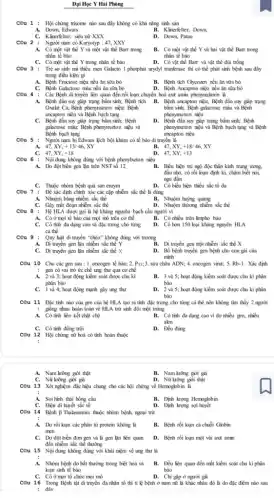 Đại Học Y Hài Phòng
CQu 1 : Hội chứng trisome nào sau đây không có khả nǎng sinh sản
A. Down, Edwars
B. Klincrfelter, Down
D. Down, Patau
C. Klinerfelter, siêu nữ XXX
CQu 2 : Người nam có Karyotyp : 47, XXY
A. Có một vật thể Y và một vật thể Barr trong
nhân tế bào
B. Có một vật thể Y và hai vật thể Barr trong
nhân tế bảo
C. Có một vật thể Y trong nhân tế bào	D. Có vật thể Barr và vật thể dùi trống
CCu 3 : Trẻ sơ sinh mà thiếu men Gahcto I photphat urydyl tranferase thi có thể phát sinh bệnh sau đây
trong điều kiện gì
A. Bệnh Fructose niệu nếu ǎn sữa bò
B. Bệnh tkh Glycozen nếu ǎn sữa bò
C. Bệnh Gahctose máu nếu ǎn sữa bò
D. Bệnh Ancapton niçu nếu ǎn sữa bò
: Các Bệnh di truyền liên quan đến rồi loạn chuyển hoá axit amin phenymalanin li
Oxalat Ca; Bệnh phenynxeton niẹu; Bệnh
ancapton niệu và Bệnh bạch tạng
A. Bệnh đần suy giúp trạng bẩm sinh; Bệnh tích B. Bệnh ancapton niệu;Bệnh đần suy gặp trạng
bắm sinh; Bệnh gabctose máu và Bệnh
phenynxeton niêu
C. Bệnh đần suy gặp trạng bẩm sinh; Bệnh
galactose máu; Bệnh phenynxeton niệu và
Bệnh bạch tạng
D. Bệnh đần suy giúp trạng bẩm sinh; Bệnh
phenymseton niệu và Bệnh bạch tạng và Bệnh
ancapton niẹu
Cêu 5 : Người nam bị Edwars kịch bội khảm có tế bào đi truyền là
47,XY,+13/46,XY
B. 47.XY. +18/46,XY
D. 47,XY, +13
C. 47,XY,+18
CĐu 6 : Nội dung không đúng với bệnh phenylxeton niệu
A. Do đột biến gen lặn trên NST số 12
B. Biểu hiện trẻ ngộ độc thần kinh trung ương.
đầu nhỏ, có rồi bạn định kì, chậm biết nói,
ngu đần
C. Thuộc nhóm bệnh quá sản enzym
D. Có biểu hiện thiếu sắc tố đa
Cêu 7 : Để xác định chính xác các cặp nhiễm sắc thể li dùng
A. Nhuộm bǎng nhiễm sắc thể
B. Nhuộm huỳng quang
C. Gày mắt đoạn nhiễm sắc thể
D. Nhuộm thương nhiễm sắc thể
: Hệ HLA được gọi là hệ kháng nguyên bạch cầu người vì
A. Có ở mọi tế bào của mọi mò trên cơ thể
B. Có nhiều trên limpho bảo
C. Có tính đa dạng cao và đặc trưng cho từng
cá thể
D. Có hơn 150 loại kháng nguyên HLA
COu 9 : Quy hạt di truyền "chéo" không đứng với trường
A. Di truyền gen lặn nhiễm sắc thế Y
C. Di truyền gen lin nhiễm sắc thể x
B. Di truyền gen trội nhiễm sắc thể X
D. Bố bệnh truyền gen bệnh cho con gái của
minh
CCu 10 Cho các gen sau : 1. oncogen tế bào; 2. Pss;3. sửa chữa ADN; 4. oncogen virut;
: gen có vai trò ức chế ung thư qua cơ chế
5.Rb-1. Xác định
A. 2 và 3; hoạt động kiểm soát được chu kì
phân bào
B. 3 và 5; hoạt động kiểm soát được chu kì phân
bảo
C. 1 và 4; hoạt động mạnh gây ung thư
D. 2 và 5; hoạt động kiểm soát được chu kì phân
bảo
COu 11 Đặc tính nào của gen của hệ HLA tạo ra tính đặc trưng cho từng cá thể nên không tìm thấy 2 người
: goồng nhau hoàn toàn về HLA trừ sinh đôi một trứng
A. Có tính liên kết chặt chế
B. Có tính đa đạng cao vi do nhiều gen, nhiều
aken
C. Có tính đồng trội
D. Đều đúng
CQu 12 Hội chứng nữ hoá có tính hoàn thuộc
:
A. Nam lường giới thật
C. Nữ lường giới giá
B. Nam lưỡng giới gi
D. Nữ hưởng giới thật
13 Xét nghiệm đặc hiệu chung cho các hội chứng về Hemoglobin là
:
A. Soi hình thái hồng cầu
C. Điện di huyết sắc tổ
B. Định lượng Hemoglobin
D. Định lượng
COu 14 Bệnh B Thalassemia thuộc nhóm bệnh, ngoại trừ
:
A. Do rối loạn các phân tử protein không là
men
B. Bệnh rối loạn cả chuỗi Globin
C. Do đột biến đơn gen và là gen lặn liên quan
đến nhiễm sắc thể thường
D. Bệnh rối loạn một vải axit amin
15 Nội dung không đúng với khái niệm về ung thư là
:
A. Nhóm bệnh do bắt thường trong biệt hoá và
loạn sinh tế bảo
B. Đều liền quan đến mắt kiểm soát chu kì phân
bảo
C. Có ở mọi tổ chức mọi mô
D. Chi gip ở người gi
CQu 16 Trong Bệnh tật di truyền đa nhân tố thì tỉ lệ bệnh ở nam nữ là khíc nhâu đó li do đặc điểm nào sau
: đây