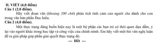 II. VIÉT (6,0 điểm)
Câu 1 (2,0 điêm).
Hãy viết đoạn vǎn (khoảng 200 chữ) phân tích tình cảm của người cha dành cho con
trong vǎn bản phân Đọc hiểu.
Câu 2 (4,0 điểm).
Một thực trạng đáng buồn hiện nay là một bộ phận các bạn trẻ có thói quen dựa dẫm, ý
lại vào người khác trong học tập và công việc của chính mình . Em hãy viết một bài vǎn nghị luận
đê ra giải pháp góp phần giải quyết thực trạng đó.
 Hết