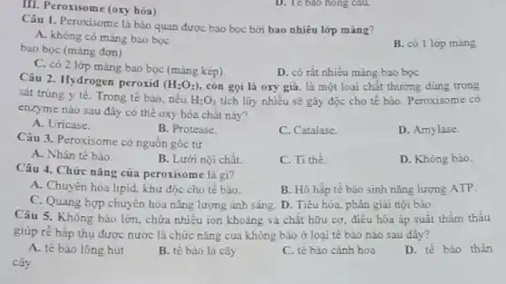 III. Peroxisome (oxy hóa)
D. Te bao hong cau
Câu 1. Peroxisome là bào quan được bao bọc bởi bao nhiêu lớp màng?
A. không có màng bao boc
bao bọc (màng đơn)
B. có 1 lớp màng
C. có 2 lớp mảng bao bọc (mǎng kép).
D. có rất nhiều màng bao bọc
Câu 2. Hydrogen peroxid
(H_(2)O_(2)) còn gọi là oxy giả, lá một loại chất thường dùng trong
sát trùng y tế . Trong tế bào, nếu H_(2)O_(2) tích lũy nhiều sẽ gây độc cho tế bảo. Peroxisome có
enzyme nào sau đây có thé oxy hóa chât này?
A. Uricase.
B. Protease.
C. Catalase.
D. Amylase
Câu 3. Peroxisome có nguồn gốc từ
A. Nhân tế bào.
B. Lưới nội chắt.
C. Ti thê.
D. Không bảo.
Câu 4. Chức nǎng của peroxisome là gì?
A. Chuyển hóa lipid khử độc cho tế bào.
C. Quang hợp chuyển hóa nǎng lượng ánh sáng. D. Tiêu hóa.phân giải nội bào.
B. Hô hấp tế bảo sinh nǎng lượng ATP.
Câu 5. Không bào lớn, chứa nhiều ion khoáng và chất hữu cơ, điều hòa áp suất thầm thấu
giúp rẻ hấp thụ được nước là chức nǎng của không bào ở loai tế bảo nào sau đây?
A. tế bào lông hút
B. tế bào lá cây
C. tế bảo cảnh hoa
D. tế bảo thân
cây