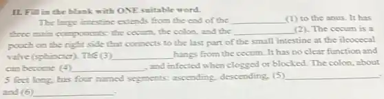 ILFI lin the blank with ONE suitable word.
The large intestine extends from the end of the __ (1) to the anus . It has
three main compooents:the cecum, the colon and the
__ The cecum is a
pouch on the right side that connects to the last part of the small intestine at the ileocecal
vahe(sphincter). Thế (3) __ hangs from the cecum It has no clear function and
cam become (4) __
, and infected when clogged or blocked. The colon.about
5 feet long, has four named segments:ascending, descending. (5)
__
and 6 __