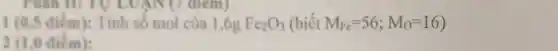 điểm): Tính số mol của 1,6g Fe_(2)O_(3) (biet M_(Fe)=56;M_(O)=16)
điểm):