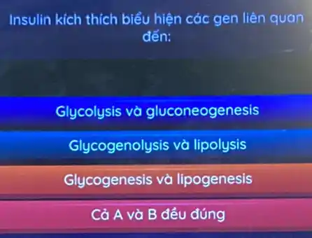 Insulin kich thich biểu hiện các gen liên quan
đến:
Glycolysis và gluconeogenesis
Glycogenolysis và lipolysis
Glycogenesis và lipogenesis
Cả A và B đều đúng