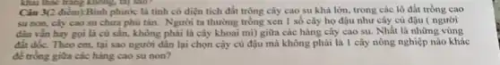 khai thác trǎng không, tài SJOZ
Câu 3(2 điểm):Bình phước là tinh có diện tích đất trộng cây cao su khá lớn, trong các lô đất trồng cao
su non, cây cao su chưa phù tán . Người ta thường trồng xen 1 số cây họ đậu như cây củ đậu ( người
dân vẳn hay gọi là cù sắn, không phải là cây khoai mi) giữa các hàng cây cao su. Nhất là những vùng
đất dốc. Theo cm tại sao người dân lại chọn cậy củ đậu mà không phải là 1 cây nông nghiệp nào khác
để trồng giữa các hàng cao su non?