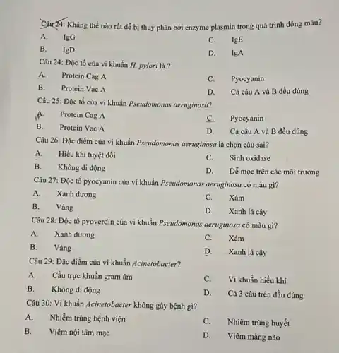 Kháng thể nào rất dễ bị thuỷ phân bởi enzyme plasmin trong quá trình đông máu?
A. IgG
C. IgE
B. IgD
D. IgA
Câu 24: Độc tố của vi khuẩn H.pylori là ?
A. Protein Cag A
C. Pyocyanin
B. Protein Vac A
D. Cả câu A và B đều đúng
Câu 25: Độc tố của vi khuẩn Pseudomonas aeruginosa?
Protein Cag A
C. Pyocyanin
B. Protein Vac A
D. Cả câu A và B đều đúng
Câu 26: Đặc điểm của vi khuẩn Pseudomonas aeruginosa là chọn câu sai?
A. Hiếu khí tuyệt đối
C.Sinh oxidase
B. Không di động
D. Dễ mọc trên các môi trường
Câu 27: Độc tố pyocyanin của vi khuẩn Pseudomonas aeruginosa có màu gì?
A. Xanh dương
C. Xám
B. Vàng
D. Xanh lá cây
Câu 28: Độc tố pyoverdin của vi khuẩn Pseudomonas aeruginosa có màu gì?
A. Xanh dương
C.
Xám
B. Vàng
D. Xanh lá cây
Câu 29: Đặc điểm của vi khuẩn Acinetobacter?
A. Cầu trực khuẩn gram âm
C. Vi khuẩn hiếu khí
B. Không di động
D. Cả 3 câu trên đầu đúng
Câu 30: Vi khuẩn Acinetobacter không gây bệnh gì?
A. Nhiễm trùng bệnh viện
C.
Nhiêm trùng huyết
B . Viêm nội tâm mạc
D.
Viêm màng não