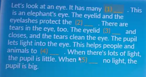 Let's look at an eye. It has many 11
__ . This
is an elephant's eye. The eyelid and the
eyelashes protect the (2)
There are
tears in the eye,too The eyelid (3)
__ and
closes, and the tears clean the eye. The pupil
lets light into the eye This helps people and
animals to 4 __ .When there's lots of light,
the pupil is little. When
__ no light, the
pupil is big.