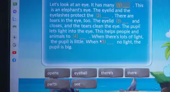 Let's look at an eye. It has many (1)	This
is an elephant's eye The eyelid and the
eyelashes protect the 2 __ There are
tears in the eye,too.The eyelid (3) and
closes, and the tears clean the eye The pupil
lets light into the eye. This helps people and
animals to (4)	When there's lots of light,
the pupil is little. When (5) __ no light, the
pupil is big.
opens
eyeball
there's
there
parts
see