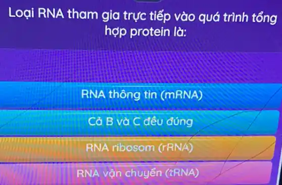 Loại RNA tham gia trực tiếp vào quá trình tổng
hợp protein là:
RNA thông tin (mRNA)
Cở B và C đều đúng
RNA ribosom (rRNA)
RNA vộn chuyển (TRNA)