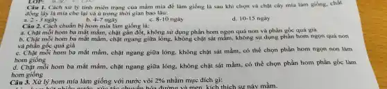 LOP: 16
Câu 1.Cách xử lý tính miên trạng của mầm mía để làm giống là sau khi chọn và chặt cây mía làm giống.chất
đồng lấy lá mía che lại và ủ trong thời gian bao lâu:
a. 2-3 ngày
b. 4-7 ngày
c. 8-10 ngày
d. 10-15 ngày
Câu 2.Cách chuẩn bị hom mía làm giống là:
a. Chặt mỗi hom ba mắt mầm , chặt gần đốt., không sử dụng phần hom ngọn quá non và phần gốc quá già
b. Chặt mỗi hom ba mắt mầm , chặt ngang giữa lóng , không chặt sát mầm., không sử dụng phần hom ngọn quá non
và phần gốc quá già
c. Chặt mỗi hom ba mắt mầm , chặt ngang giữa lóng , không chặt sát mầm, có thể chọn phần hom ngọn non làm
hom giống
d. Chặt mỗi hom ba mắt mầm , chặt ngang giữa long , không chặt sát mầm, có thể chọn phần hom phần gốc làm
hom giống
Câu 3.Xử lý hom mía làm giống với nước vôi 2%  nhằm mục đích gì:
Câu 3. Xử 1 hút nhiều nước chuyế n hóa đường và men . kích thích sư nảy mầm.