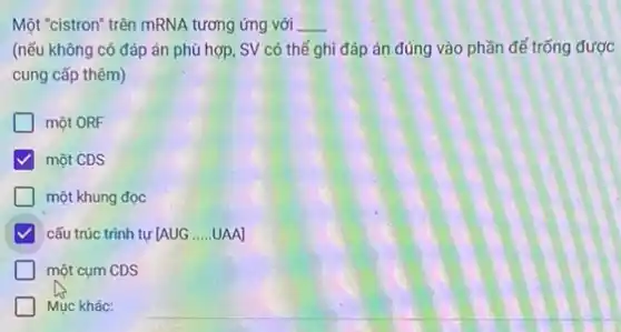 Một "cistron" trên mRNA tương ứng với __
(nếu không có đáp án phù hợp, SV có thể ghi đáp án đúng vào phần đế trống được
cung cấp thêm)
một ORF
một CDS
một khung đọc
cấu trúc trình tự [AUG __ UAAJ
một cụm CDS
Mục khác: