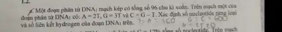 A. Một đoạn phân tử DNA_(1) mạch kép có tổng số 96 chu kì xoắn. Trên mạch một của
đoạn phân tử DNA_(1) có: A=2T,G=3T và C=G-T. Xác định số nucleotide từng loại
và số liên kết hydrogen của đoạn DNA_(1) trên.