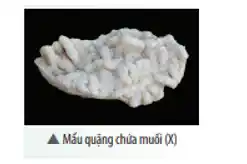 Mắu quặng chừa muối (X)