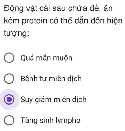 Động vật c ái sau chửa đẻ, ǎn
kém protein có thể dẫ n đến h len
tượng:
Quá mẫn muộn
Bệnh tự miễn dịch
Suy giảm miên dịch
Tǎng sinh lympho