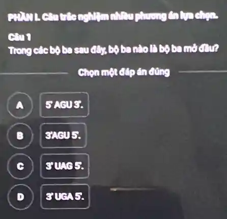 nghiệm chiều chương thẳng
CMI
Trong các bộ ba sau đây,bộ banào là
Chọn một đáp án đúng
__
A
3.
B )
8 cu 5.
C
I SING5.
D
18486.