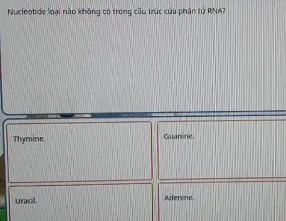 Nucleotide loại nào không có trong câu trúc của phân tử RNA?
square 
square 
square 
Adenine.