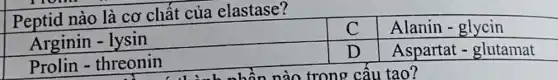 Peptid nào là cơ chất của elastase?
Arginin - lysin
Prolin - threonin