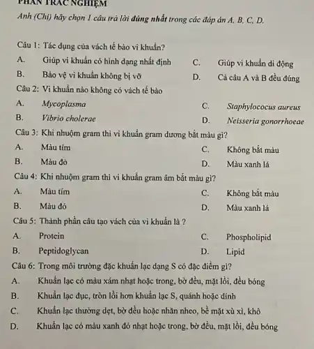 PHAN TRAC NGHIỆM
Anh (Chj) hãy chọn 1 câu trả lời đúng nhất trong các đáp án A, B, C, D.
Câu 1: Tác dụng của vách tế bào vi khuẩn?
A. Giúp vi khuẩn có hình dạng nhất định
C. Giúp vi khuẩn di động
B. Bảo vệ vi khuẩn không bị vỡ
D. Cà câu A và B đều đúng
Câu 2: Vi khuẩn nào không có vách tế bào
A. Mycoplasma
C. Staphylococus aureus
B. Vibrio cholerae
D. Neisseria gonorrhoeae
Câu 3: Khi nhuộm gram thì vi khuẩn gram dương bắt màu gì?
A. Màu tím
C. Không bắt màu
B. Màu đỏ
D. Màu xanh lá
Câu 4: Khi nhuộm gram thì vi khuẩn gram âm bắt màu gì?
A. Màu tím
C.Không bắt màu
B. Màu đỏ
D. Màu xanh lá
Câu 5: Thành phần câu tạo vách của vi khuẩn là?
A. Protein
C. Phospholipid
B. Peptidoglycan
D. Lipid
Câu 6: Trong môi trường đặc khuẩn lạc dạng S có đặc điểm gì?
A. Khuẩn lạc có màu xám nhạt hoặc trong, bờ đều, mặt lồi, đều bóng
B. Khuẩn lạc đục , tròn lồi hơn khuẩn lạc S, quánh hoặc dính
C. Khuẩn lạc thường dẹt , bờ đều hoặc nhãn nheo, bề mặt xù xi, khô
D. Khuẩn lạc có màu xanh đỏ nhạt hoặc trong, bờ đều, mặt lồi , đều bóng