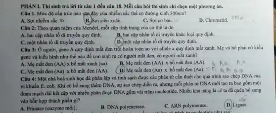 PHÀN I. Thí sinh trả lời từ câu 1 đến câu 18 . Mỗi câu hỏi thí sinh chỉ chọn một phương án.
Câu 1. Mức độ cấu trúc nào sau đây của nhiễm sắc thể có đường kính 300 nm?
A. Sợi nhiễm sắc . 10
B. Sợi siêu xoắn.
C. Sợi cơ bản. 10
D. Chromatid
Câu 2: Theo quan niệm của Mendel, mỗi cặp tính trạng của cơ thể là do
A. hai cặp nhân tố di truyền quy định.
B, hai cặp nhân tố di truyền khác loại quy định.
C. một nhân tố di truyền quy định.
( D. một cặp nhân tố di truyền quy định.
Câu 3: Ở người,gene A quy định mắt đen trội hoàn toàn so với allele a quy định mắt xanh. Mẹ và bố phải có kiểu
gene và kiểu hình như thế nào để con sinh ra có người mắt đen, có người mắt xanh?
A Mematden(AA)xbdelta matxanh(aa)
B Mematien(AA)x bhat (o) mat den(AA)
c Mematden(Aa)xbhat (a)mhat (a)tden(AA)
D. Memhat (a)tden(Aa)xbhat (o)mhat (a)tden(Aa)
Câu 4: Một nhà hoá sinh học đã phân lập và tinh sạch được các phân tử cần thiết cho quá trình sao chép DNA của
vi khuẩn E. coli.Khi cô bổ sung thêm DNA, sự sao chép diễn ra, nhưng mỗi phân tử DNA mới tạo ra bao gôm một
đoạn mạch dài kết cặp với nhiều phân đoạn DNA gồm vài trǎm nucleotide. Nhiều khả nǎng là cô ta đã quên bố sung
vào hỗn hợp thành phần gì?
(D.) Ligase.
A. Primase (enzyme mối).
B. DNA polymerase.
C. ARN polymerase.
trình tự nucleotide như sau: