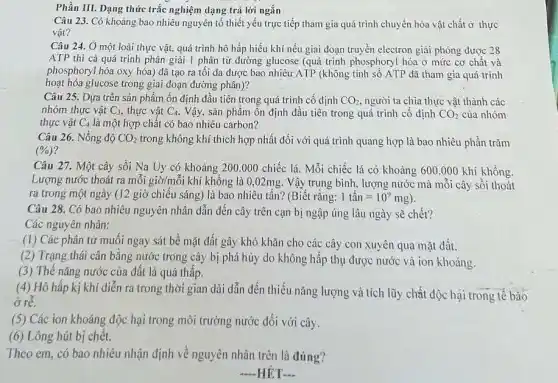 Phần III. Dạng thức trắc nghiệm dạng trả lời ngắn
Câu 23. Có khoảng bao nhiêu nguyên tố thiết yếu trực tiếp tham gia quá trình chuyển hóa vật chất ở thực
vật?
Câu 24. Ở một loài thực vật, quá trình hô hấp hiếu khí nếu giai đoạn truyền electron giải phóng được 28
ATP thì cả quá trình phân giải 1 phân tử đường glucose (quá trình phosphoryl hóa ở mức cơ chất và
phosphoryl hóa oxy hóa)đã tạo ra tối đa được bao nhiêu,ATP (không tính số ATP đã tham gia quá trình
hoạt hóa glucose trong giai đoạn đường phân)?
Câu 25. Dựa trên sản phẩm ổn định đầu tiên trong quá trinh cố định CO_(2) người ta chia thực vật thành các
nhóm thực vật C_(3) thực vật C_(4) . Vậy, sản phẩm ổn định đầu tiên trong quá trình cố định CO_(2) của nhóm
thực vật C_(4) là một hợp chất có bao nhiêu carbon?
Câu 26. Nồng độ CO_(2) trong không khí thích hợp nhất dối với quá trình quang hợp là bao nhiêu phần trǎm
(% )
Câu 27. Một cây sôi Na Uy có khoảng 200.000 chiếc lá. Mỗi chiếc lá có khoảng 600.000 khí không.
Lượng nước thoát ra mỗi giờ/mỗi khí không là 0,02mg. Vậy trung bình, lượng nước mà mỗi cây sồi thoát
ra trong một ngày (12 giờ chiếu sáng là bao nhiêu tấn?(Biết rằng: 1tacute (hat (a))n=10^9mg)
Câu 28. Có bao nhiêu nguyên nhân dẫn đến cây trên cạn bị ngập úng lâu ngày sẽ chết?
Các nguyên nhân:
-(1) Các phân tử muối ngay sát bề mặt đất gây khó khǎn cho các cây con xuyên qua mặt đất.
(2) Trạng thái cân bằng nước trong cây bị phá hủy do không hấp thụ được nước và ion khoảng.
(3) Thế nǎng nước của đất là quá thấp.
(4) Hô hấp kị khí diễn ra trong thời gian dài dẫn đến thiếu nǎng lượng và tích lũy chất độc hại trong tế bào
ở rể.
(5) Các ion khoáng độc hại trong môi trường nước đối với cây.
(6) Lông hút bị chết.
Theo em, có bao nhiêu nhận định về nguyên nhân trên là đúng?
HẾT
