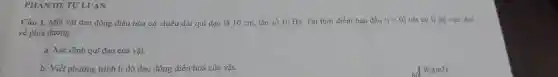 PHÀN III.TƯ LUẠN
Câu 1. Một vật dao động điều hòa có chiều dài quĩ đạo là 10 cm,tần số 10 Hz.Tại thời điểm ban đầu (t=0) vật có li độ cực đại
về phía dương.
a. Xác định quĩ đạo của vật.
b. Viết phương trình li độ dao động điều hoà của vật.
so
W_(d)(mJ)