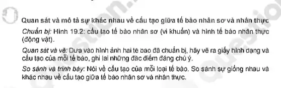 Quan sát và mô tả sự khác nhau về cấu tạo giữa tế bảo nhân sơ và nhân thực
Chuẩn bị: Hình 19.2 : cấu tạo tế bào nhân sơ (vi khuẩn)và hình tế bảo nhân thực
(động vật).
Quan sát và vẽ.Dưa vào hình ảnh hai tê bao đã chuẩn bị, hãy vẽ ra giấy hình dạng và
cấu tạo của mỗi tế bảo, ghi lai những đặc điểm đáng chú ý.
So sánh và trình bảy: Nói về cấu tạo của mỗi loại tế bào. So sánh sự giống nhau và
khác nhau về cấu tạo giữa tế bào nhân sơ và nhân thực.