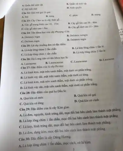 A. Quần thể sinh vật
B. Quần xã sinh vật
C. Hệ sinh thái
D. Sinh quyển
Câu 22: Quả mít gọi là quả
D. mọng
A. thit
B. nang
C. phức
Câu 23: Cây Cǎm xe là cây thân gỗ __
B. Cây gỗ lớn cao 30-40m
A. Cây gỗ trung bình cao 10-15m
C. Cây gỗ nhỏ caolt 8m
D. Cây gỗ nhờ cao 15-20m
Câu 24: Tên khoa học của cây Phượng vĩ là:
A. Delonex regia
B. Delonex rezagia
C. Delinax regia
D. Delonox regia
Câu 25: Lá cây muồng đen có đặc điểm:
A. Lá kép lông chim 2 lần chẵn
B. Lá kép lông chim 1 lần lẻ
C. Lá kép lông chim 1 lần chẵn
D. Lá kép lông chim 2 lần lẻ
Câu 26: Họ Long não có tên khoa học là:
C. Lauracaeae
D. Lauracea
A. Lauraceae
B. Lauracaceae
Câu 27: Đặc điểm của lá cây Pơ mu:
A. Lá hình kim , mặt trên xanh thẫm , mặt dưới có phấn trắng.
B. Lá hình vảy dài, mặt trên xanh thẫm, mặt dưới có lông.
C. Lá hình kim , mặt trên xanh thẫm , mặt dưới có phấn trắng.
D. Lá hình vảy dài, mặt trên xanh thẫm, mặt dưới có phấn trắng.
Câu 28: Đặc điểm của quả họ Dầu là:
B. Quả kín có gai
A. Quả kín có móc
D. Quả kín có cánh
C. Quả kín có lông
Câu 29: Đặc điểm của lá cây Kim giao
A. Lá đơn, nguyên hình trứng dài, mọc đối hai bên cành làm thành mặt phẳng
B. Lá kép lông chim 1 lần chẵn , mọc đối hai bên cành làm thành mặt phẳng
C. Lá kép, hình trứng dài, mọc đối hai bên cành làm thành mặt phẳng
D. Lá đơn, dạng kim, mọc đối hai bên cành làm thành mặt phǎng
Câu 30: Đặc điểm lá cây Dáng Hương
A. Lá kép lông chim 1 lần chẵn, mọc cách, có lá kèm