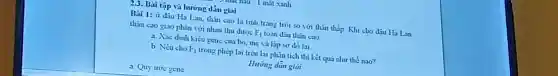 a. Quy uóc gcne
Bài 1: ¿r dâu Hà Lan thân cao là tinh trang tròi so với thân tháp . Khi cho dâu Hà Lan
than cao giao phàn với nhau thu dượo F_(1) toàn diu than cao
a. Xác dinh kieu gene của bó. me và láp sơ đỏ lai.
b. Nếu cho F_(1) trong phép lai trên lai phân tích thi kết quã như thé nào?
Hướng dân giai