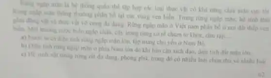 Rừng ngâp mạn là hệ thông quan the tập hợp các loại thực vật có khả nâng chịu mạn cực tốt
Rung nglip man thong thường phân bố tại các vùng ven biến Trong rừng ngâp màn hệ sinh thai
gồm động vật và thực vật vô cùng đa dạng. Rừng ngjp mận ở Việt nam phân bó ở nơi đất thấp ven
biến. Moi trung nuroe biên ngắp chân, cây trong rừng có ré chùm to khỏ, rậm rap
__
a) Nucte ta co diện tích rimg ngâp mận lớn, tập trung chủ yếu ở Nam Bộ.
b) Dien tich rimg ngập mạn ở phia Nam lớn do khi hậu cận xích đạo diện tích đất màn lớn.
c) He sinh vat trong rừng rắt đa dụng, phong phú, trong đó có nhiều loài chim thủ và nhiều loài
62