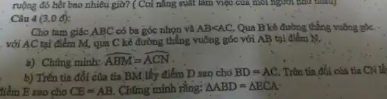 ruộng đó hết bao nhiêu giờ? ( Coi nǎng suất làm việc của môi người như nhau)
Câu 4 (3.0 đ):
Cho tam giác ABC có ba góc nhọn và ABlt AC . Qua B kẻ đường thẳng vuông góc.
. với AC tại điểm M, qua C kẻ đường thǎng vuông góc với AB tại điểm N.
a) Chứng minh:
hat (ABM)=hat (ACN)
b) Trên tia đối của tia BM:lấy điểm D sao cho
BD=AC . Trên tia đối của tia CN lấ:
tiểm E sao cho CE=AB . Chứng minh rằng: Delta ABD=Delta ECA