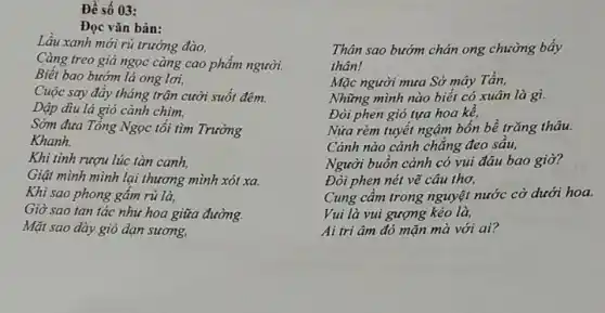 Đề số 03:
Đọc vǎn bản:
Lầu xanh mới rủ trướng đào,
Càng treo giá ngọc càng cao phẩm người,
Biết bao bướm lả ong lợi,
Cuộc say đầy tháng trận cười suốt đêm.
Dập dìu lá gió cành chim,
Sớm đưa Tổng Ngọc tối tìm Trường
Khanh.
Khi tinh rượu lúc tàn canh,
Giật mình mình lại thương mình xót xa.
Khi sao phong gấm rủ là,
Giờ sao tan tác như hoa giữa đường.
Mặt sao dày gió dạn sương,
Thân sao bướm chán ong chường bấy
thân!
Mặc người mưa Sở mây Tần,
Những mình nào biết có xuân là gì.
Đòi phen gió tựa hoa kể,
Nửa rèm tuyết ngậm bốn bề trǎng thâu.
Cánh nào cảnh chǎng đeo sâu,
Người buồn cảnh có vui đâu bao giờ?
Đòi phen nét vẽ câu thơ,
Cung câm trong nguyệt nước cờ dưới hoa.
Vui là vui gượng kẻo là,
Ai tri âm đó mặn mà với ai?