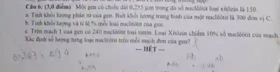 T g cho tổng trường hợp
Câu 6: (3,0 điểm)) Một gen có chiều dài 0,255mu m trong đó số nuclêôtit loại xitôzin là 150.
a. Tính khối lượng phân tử của gen. Biết khối lượng trung bình của một nuclêôtit là 300 đơn vị C.
b. Tính khối lượng và ti lệ %  mỗi loại nuclêôtit của gen.
C. Trên mạch 1 của gen có 240 nuclêôtit loại timin Loại Xitôzin chiếm 10%  số nuclêôtit của mạch.
Xác định số lượng từng loại nuclêôtit trên môi mạch đơn của gen?
__ HÉT __