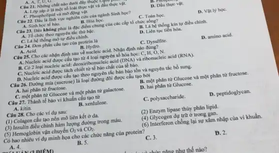 A. A, T, U, G.
Câu 21. Những chất nào dưới đây thuộc LIỆ
A. Lớp sáp ở lá một số loài thực vật và dầu thực vật.
D. Dầu thực vật.
C. Phospholipid và mỡ động vật.
Câu 22. Dau dinh vực nghiên cứu của ngành Sinh học?
A. Sinh học tế bào.
B. Hóa họC.
C. Toán họC.
D. Vật lý họC.
Câu 23. Đâu không phải là đặc điểm chung của các cấp tổ chức sống?
B. Là hệ thống kín tự điều chỉnh.
A. Tổ chức theo nguyên tắc thứ bậC.
C. Là hệ thống mở tự điều chỉnh.
D. Liên tục tiến hóa.
Câu 24. Đơn phân cấu tạo của protein là
C. Dysulfite.
D. amino acid.
A. Acid.
B. Hydro.
Câu 25. Cho các nhận định sau về nucleic acid. Nhận định nào đúng?
A. Nucleic acid được cấu tạo từ 4 loại nguyên tố hóa học: C , H, O, N.
B. Có 2 loại nucleic acid: deoxinbonucleic acid (DNA) và ribonucleic acid (RNA)
C. Nucleic acid được tách chiết từ tế bào chất của tế bào.
D. Nucleic acid được cấu tạo theo nguyên tắc bán bảo tồn và nguyên tắc bổ sung.
Câu 26. Đường mía (sucrose) là loại đường đôi được cấu tạo bởi
B. một phân tử Glucose và một phân tử fructose.
A. hai phân tử fructose.
C. một phân tử Glucose và một phân tử galactose.
D. hai phân tử Glucose.
Câu 27. Thành tế bào vi khuẩn cấu tạo từ
A. kitin.
B. xenlulose.
C. polysaccharide.
D. peptidoglycan.
Câu 28. Cho các ví dụ sau:
(1) Colagen cấu tạo nên mô liên kết ở da.
(2) Enzym lipase thủy phân lipid.
(3) Insulin điều chỉnh hàm lượng đường trong máu.
(4) Glycogen dự trữ ở trong gan.
(5) Hemoglobin vận chuyển O_(2) và CO_(2)
(6) Interferon chống lại sự xâm nhập của vi khuẩn.
Có bao nhiêu ví dụ minh họa cho các chức nǎng của protein?
A. 4.
B. 5.
C. 3.
D. 2
c nǎng như thế nào?